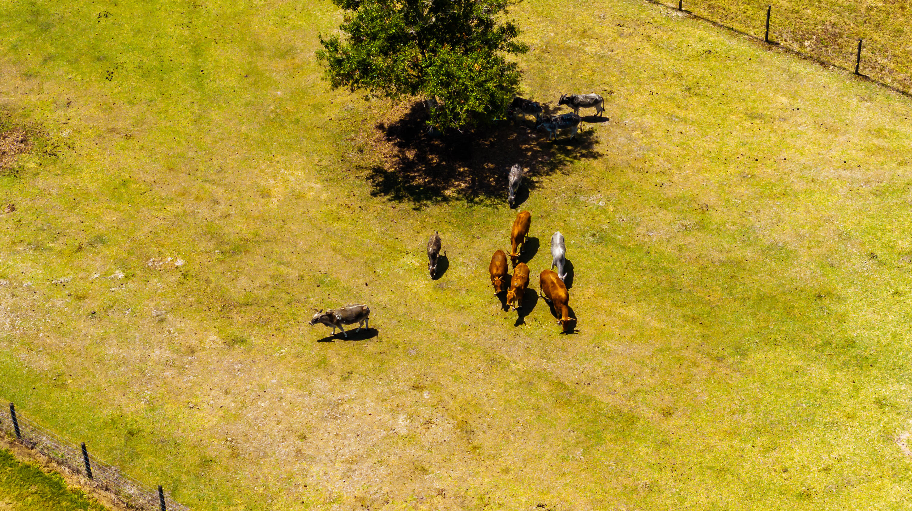 1101 Trowbridge Road Fort Pierce, FL 34945 - Photo 26 of 38 1101 Trowbridge Road Aerials-11