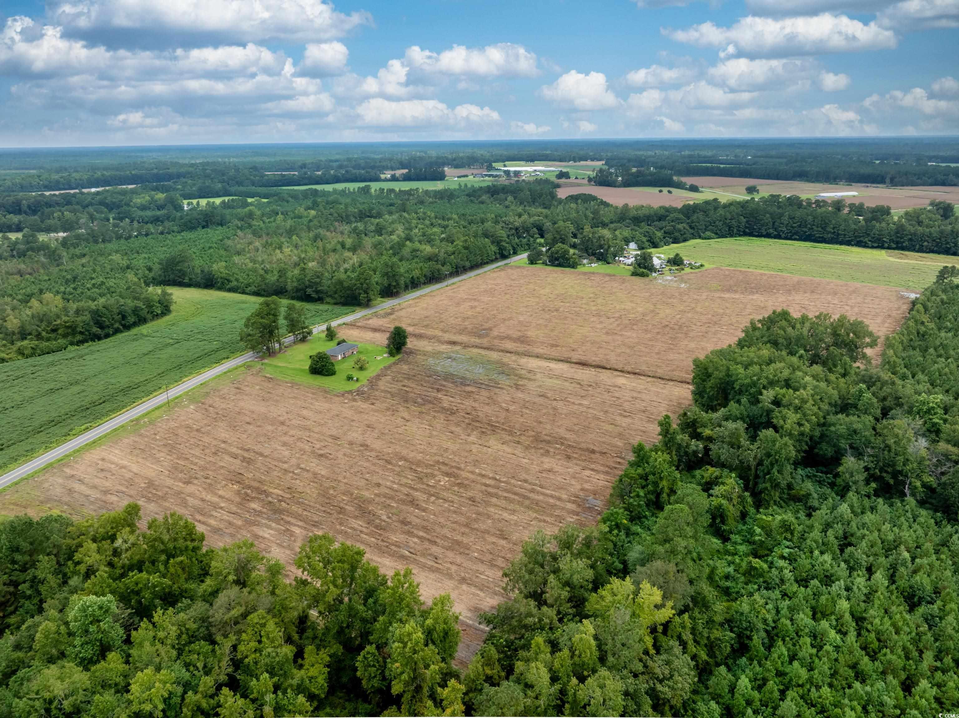 Tbd Lot B7 Tbd Road Nichols, SC 29581 - Photo 3 of 6