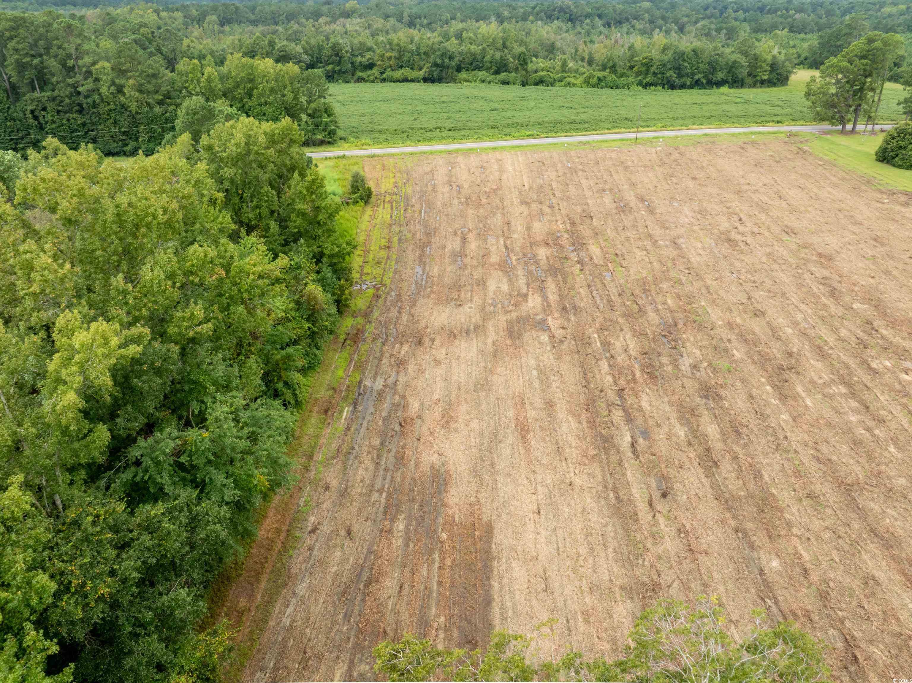 Tbd Lot B7 Tbd Road Nichols, SC 29581 - Photo 6 of 6 Aerial view of sparsely populated area with abundant farmland