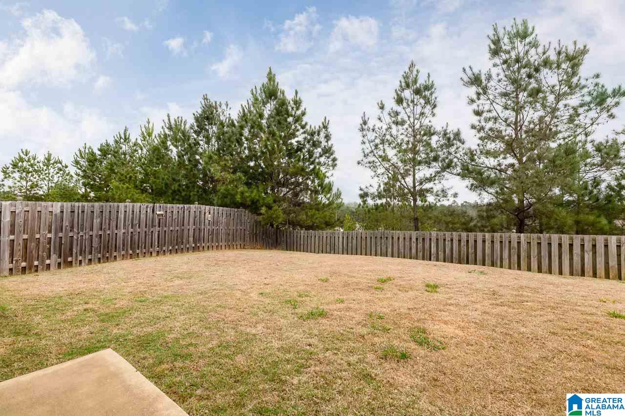 193 Chesser Loop Road Chelsea, AL 35043 - Photo 24 of 26
