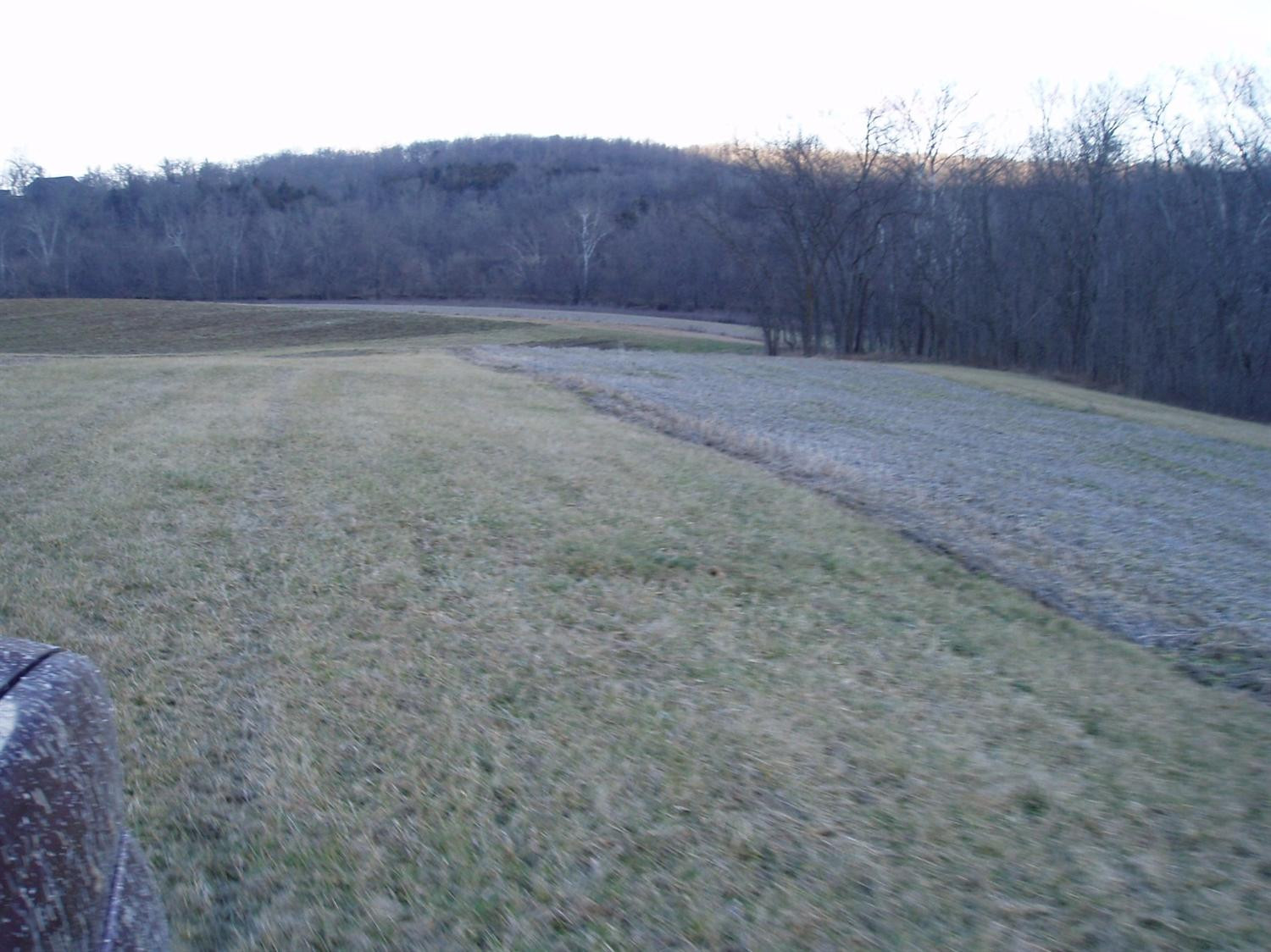 239 Grigson Road Brooksville, KY 41004 - Photo 7 of 28 Gallery Image 7