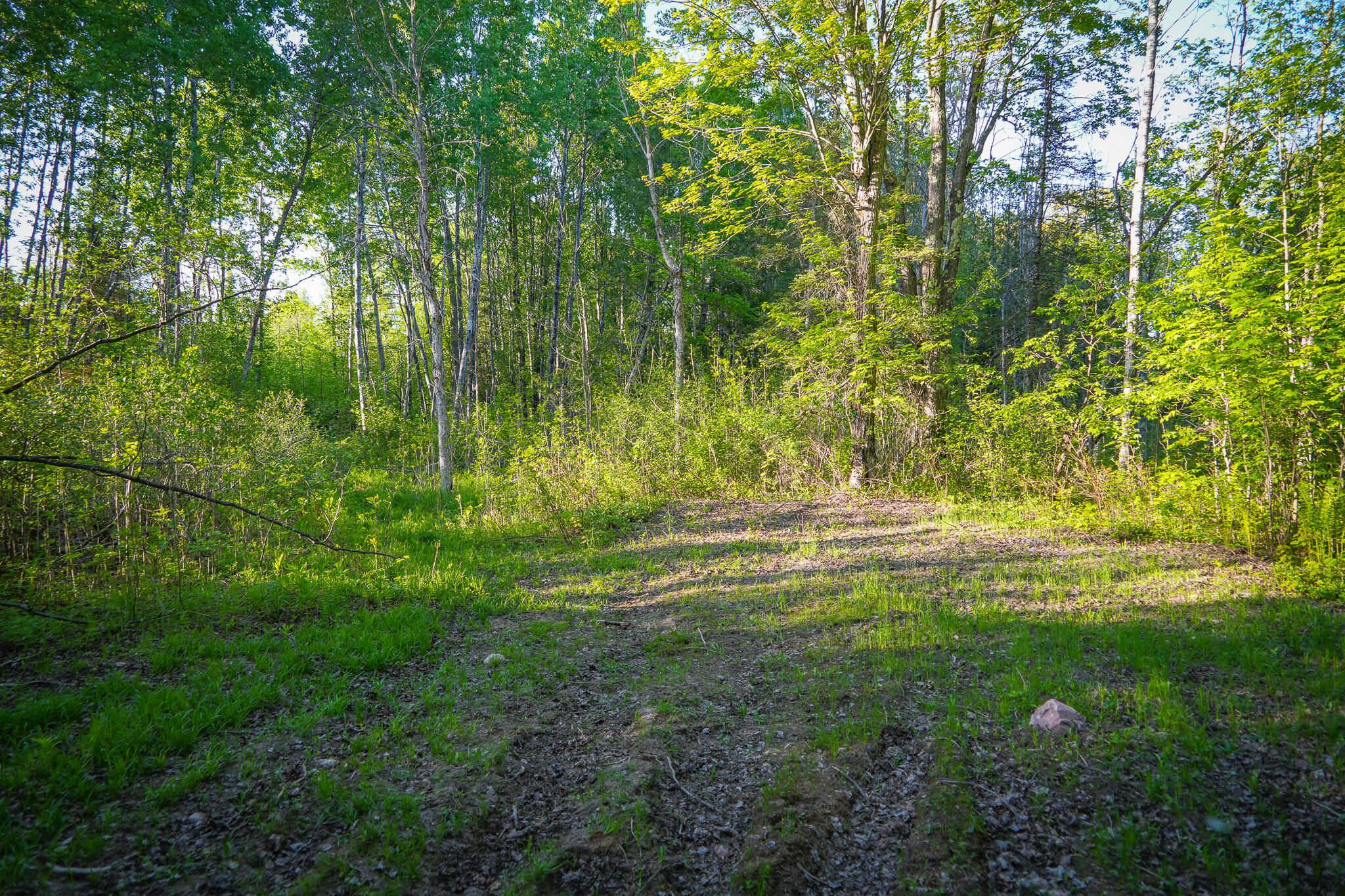 V/l V/l 33rd Road Perkins, MI 49872 - Photo 43 of 70 DSC00070