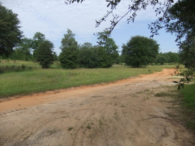 512 Old Dibble Road Aiken, SC 29803 - Photo 1 of 1