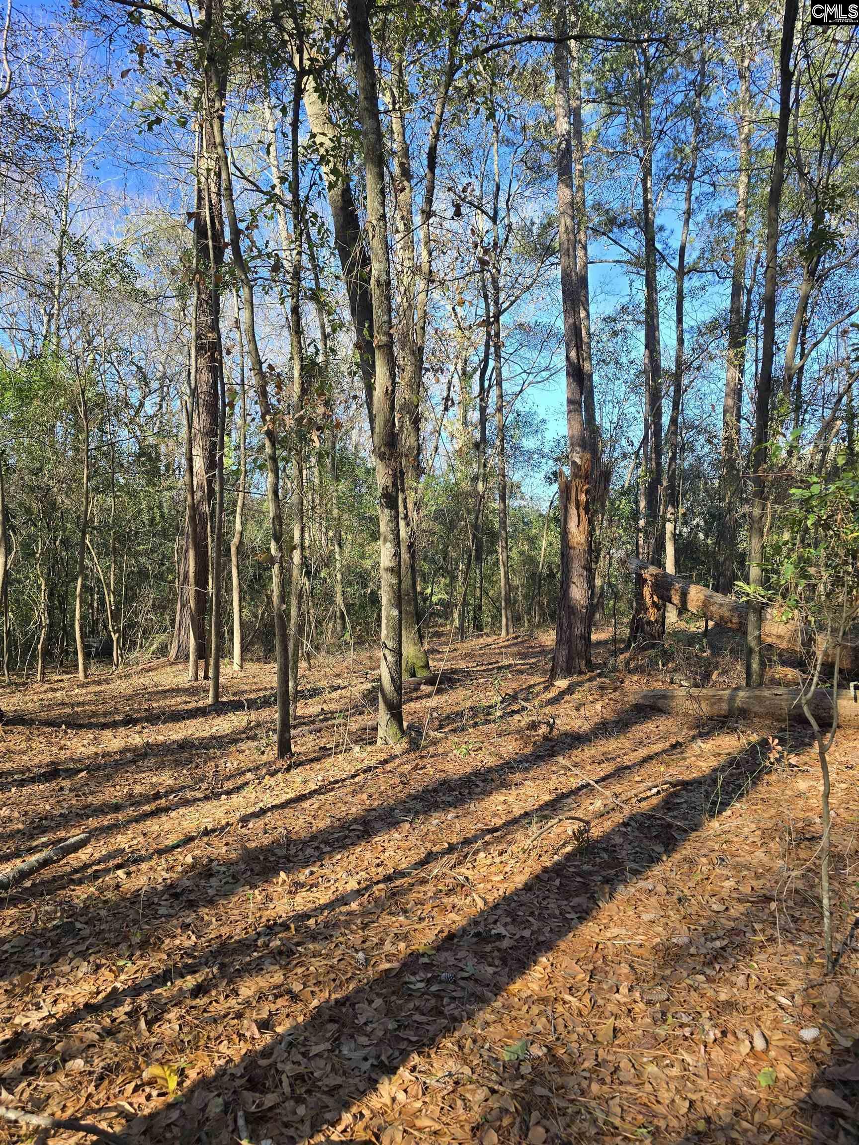 Lot 7-8 Popular Street Cayce, SC 29033 - Photo 3 of 12
