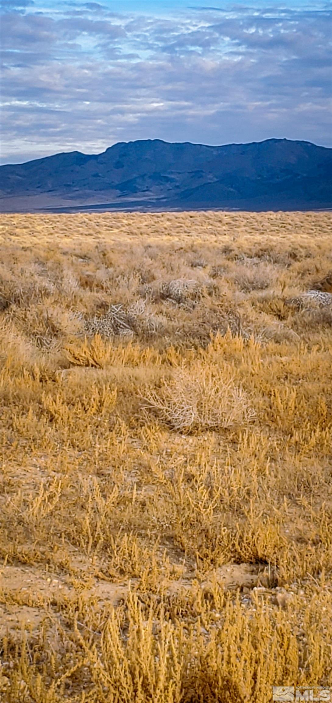 848028 Willow Creek Ranch Road Imlay, NV 89418 - Photo 2 of 2 Photo 2