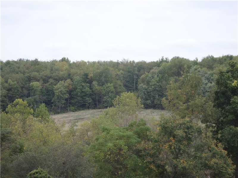 Other. Large Flat Clearing. 1 Of 2 Nice Flat Clearings.