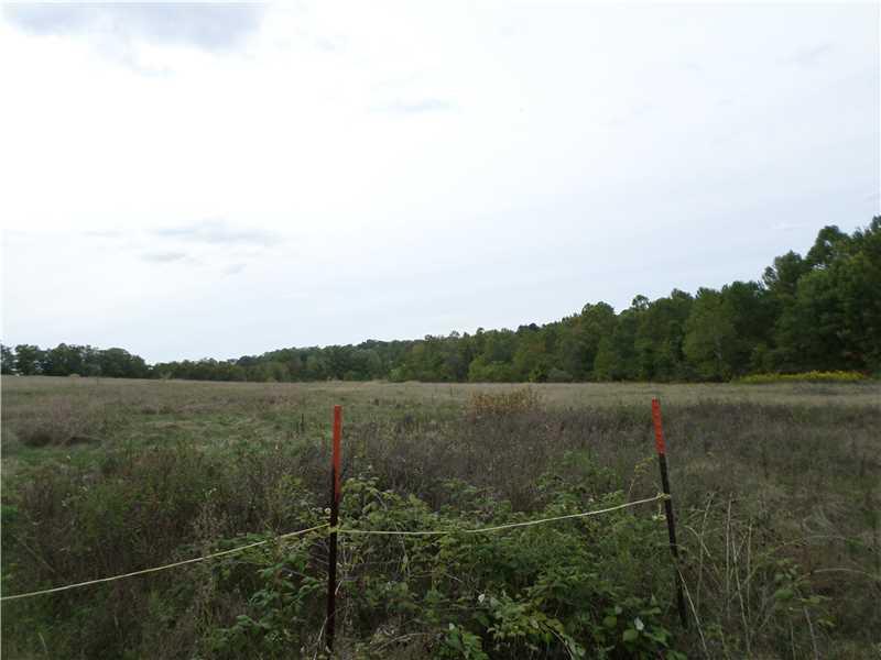 1 Holly Place Road Mount Pleasant, PA 15666 - Photo 20 of 23 Other. #-2 Of 2 Clearings. Many Areas On The property For Land Use.