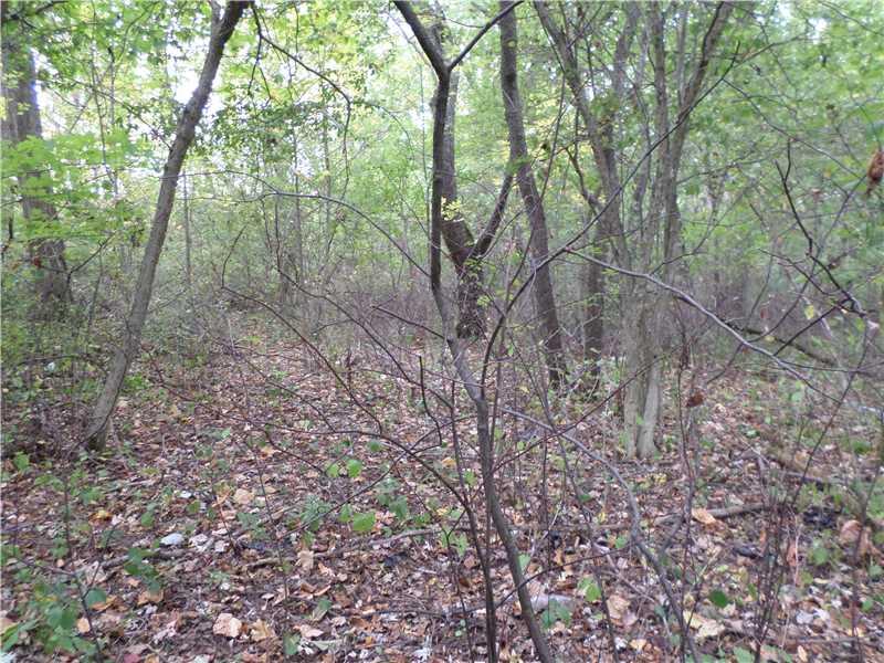 1 Holly Place Road Mount Pleasant, PA 15666 - Photo 8 of 23 Other. Walking Through Different Areas Of The Properties Woods I Found Lots Of Level Land Or Sloping.