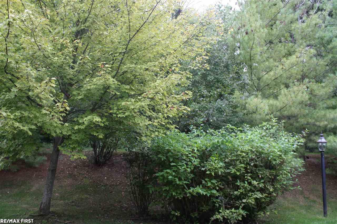 49041 Hawksburry Road Canton, MI 48188 - Photo 4 of 36