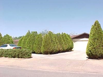 13474 Tioga Road Apple Valley, CA 92308 - Photo 1 of 1 a view of a garden