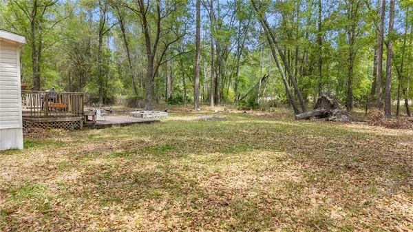 a view of a backyard with trees