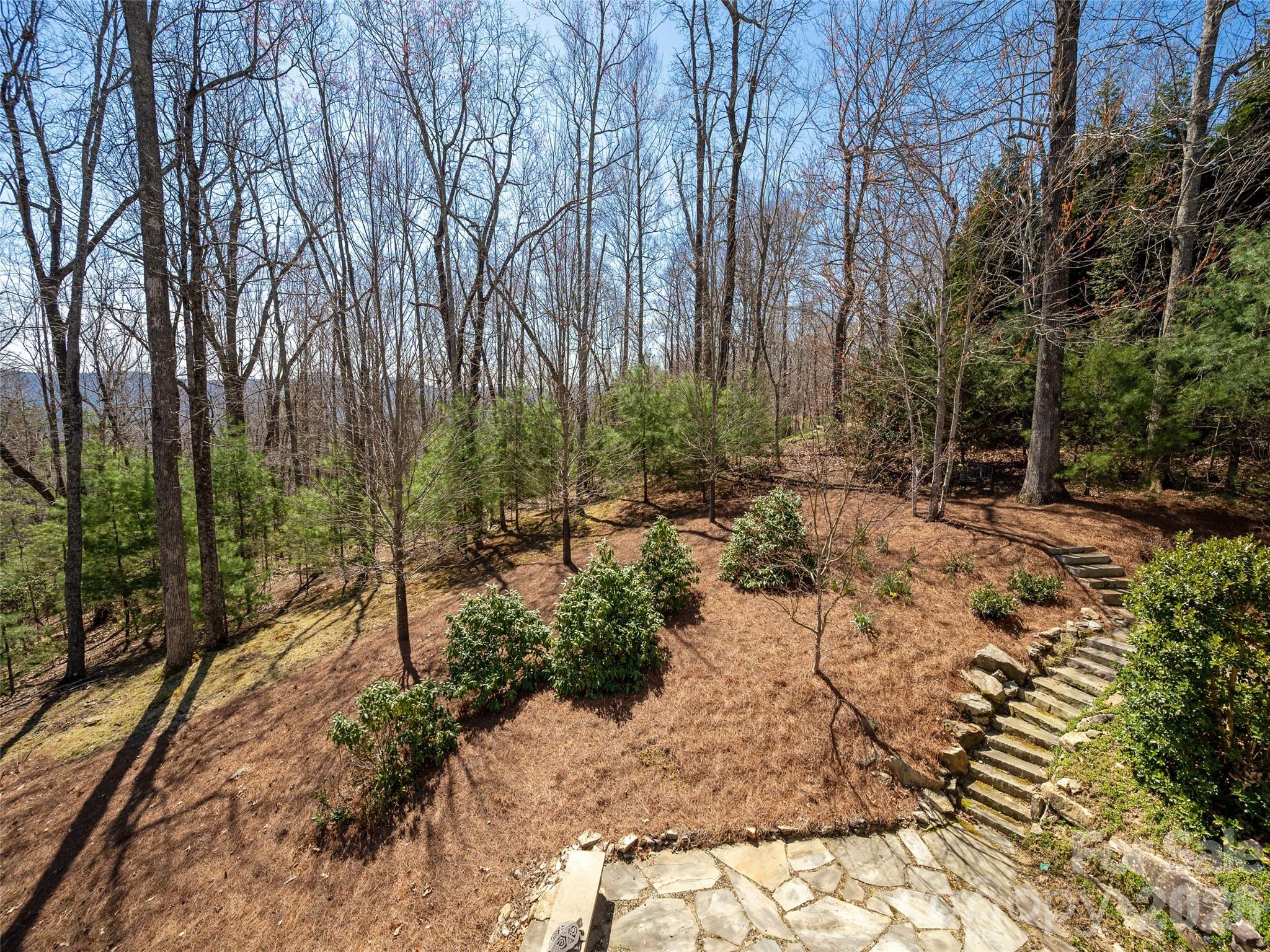 383 Monarch Road Hendersonville, NC 28739 - Photo 15 of 48 a view of backyard with green space