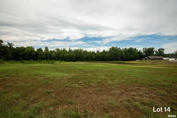 a view of a field with an ocean