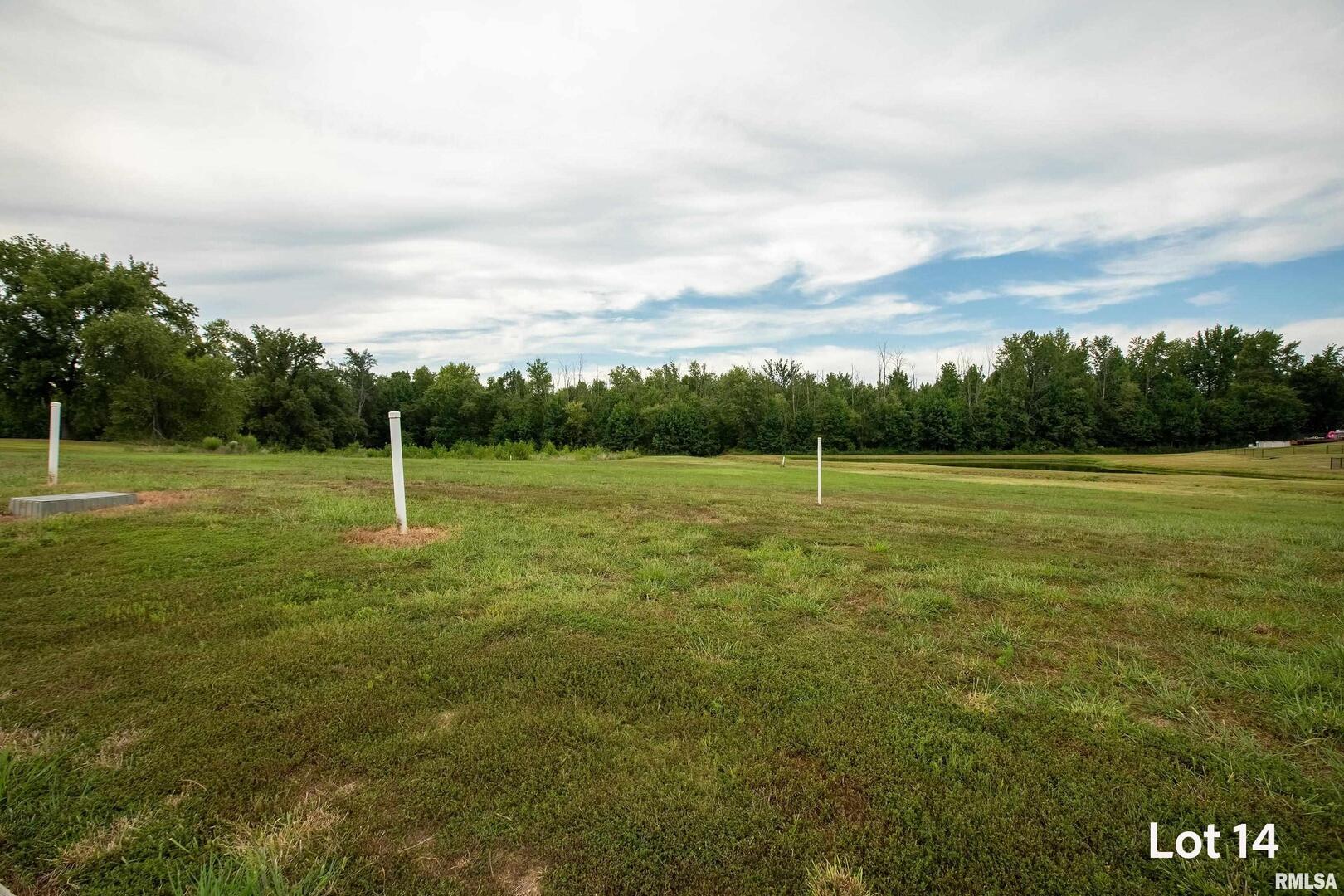 1301 Wayne Avenue Marion, IL 62959 - Photo 2 of 5 a view of a field with a big yard