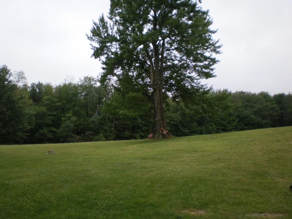 81 Crowley Road Friendsville, PA 18818 - Photo 1 of 25 Gallery Image 1