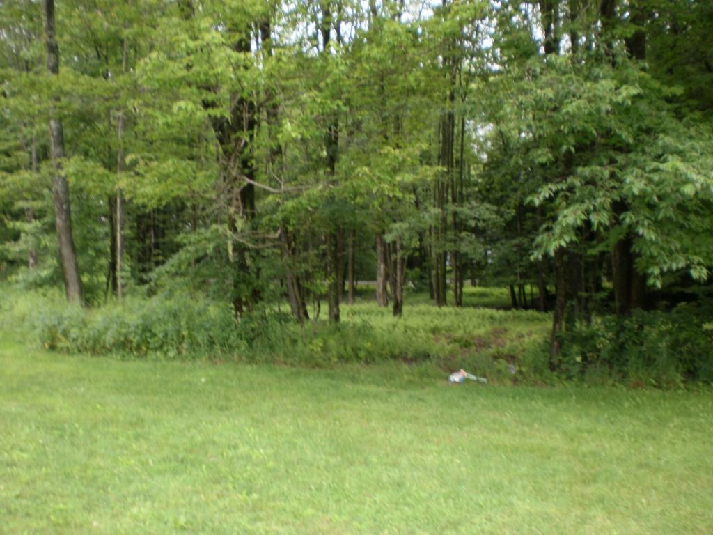 81 Crowley Road Friendsville, PA 18818 - Photo 4 of 25 Gallery Image 4