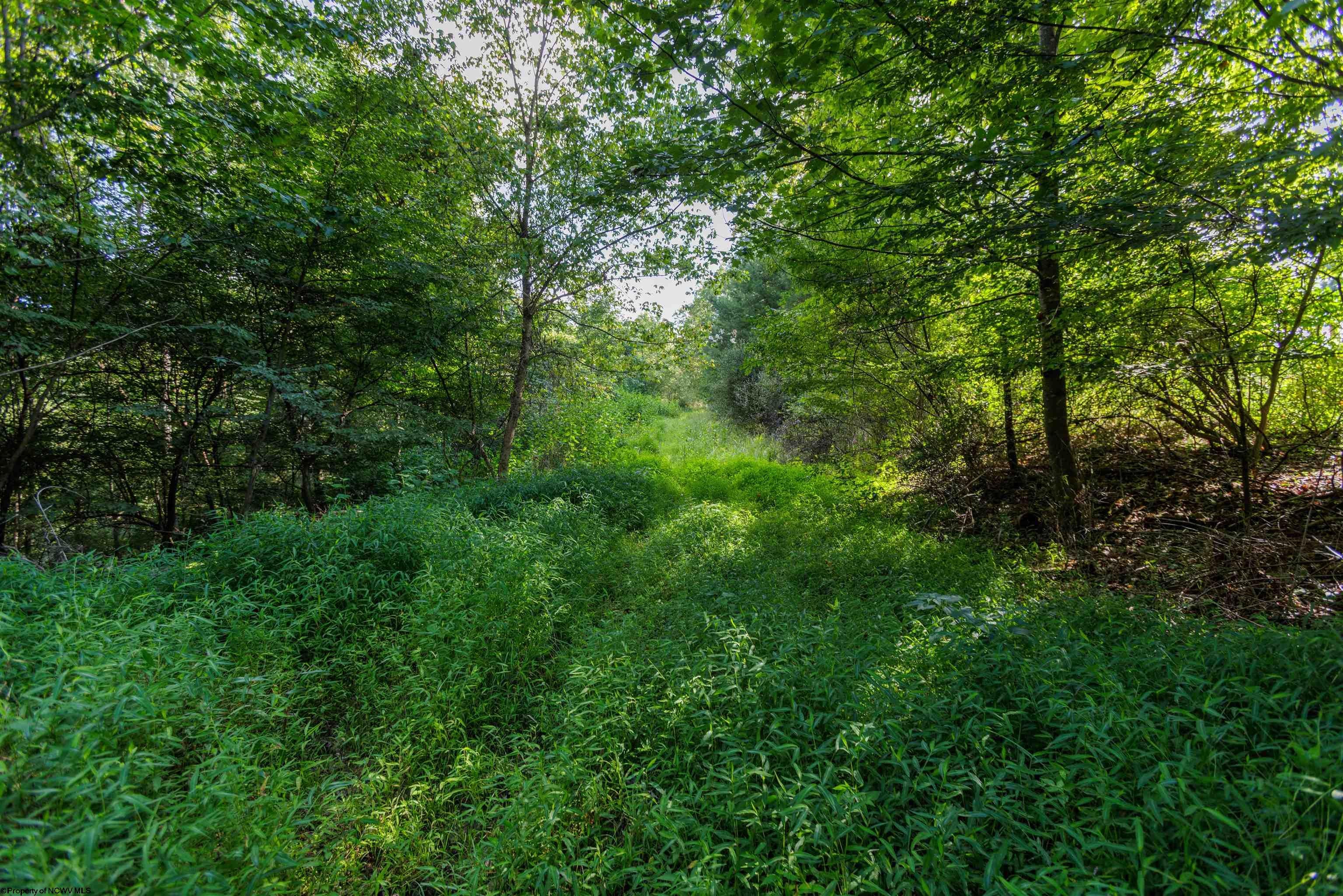 Tbd Green Valley Road Buckhannon, WV 26201 - Photo 43 of 49 Gallery Image 43