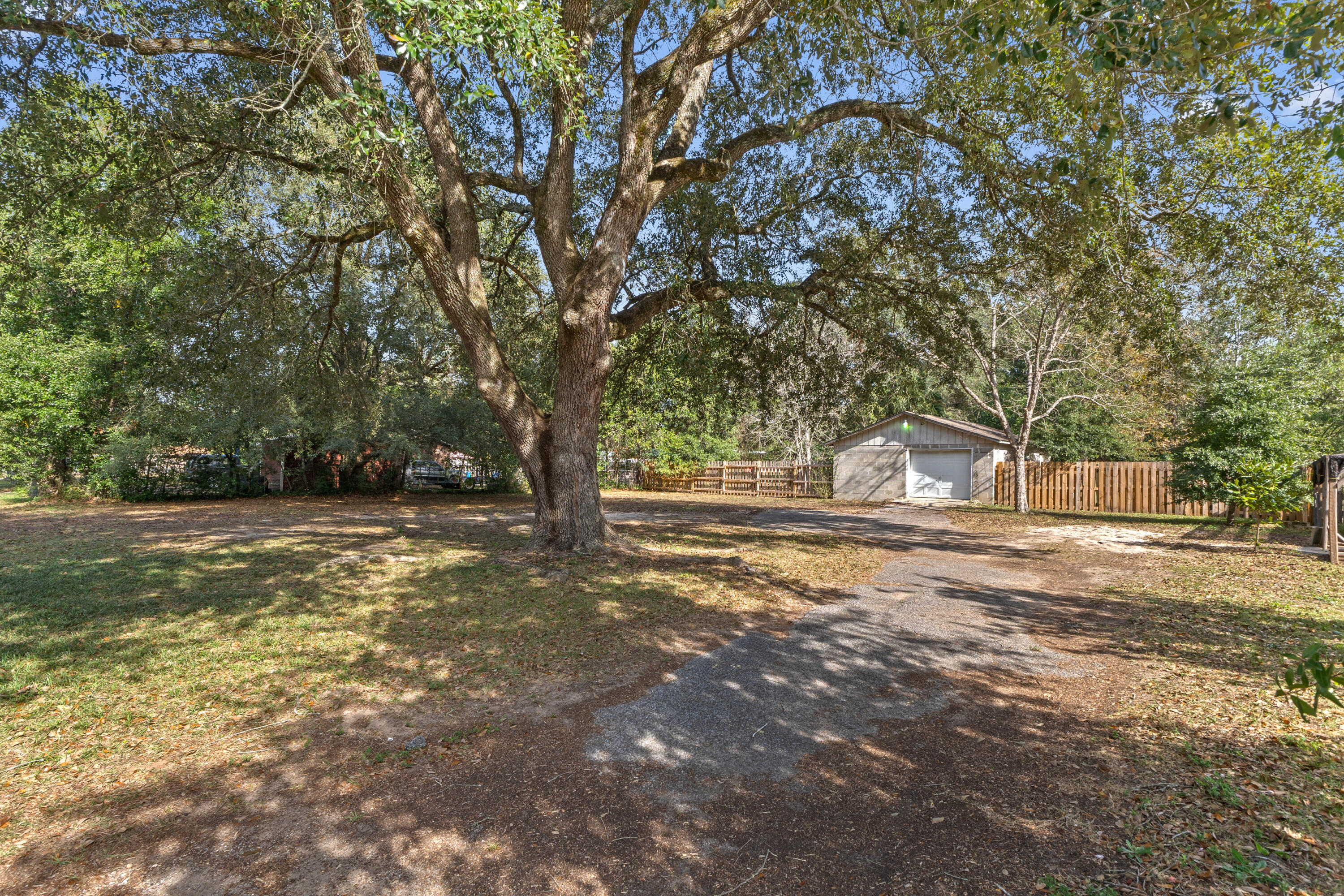 4320 Reinsma Road Milton, FL 32583 - Photo 35 of 41 a view of a tree in the middle of a yard