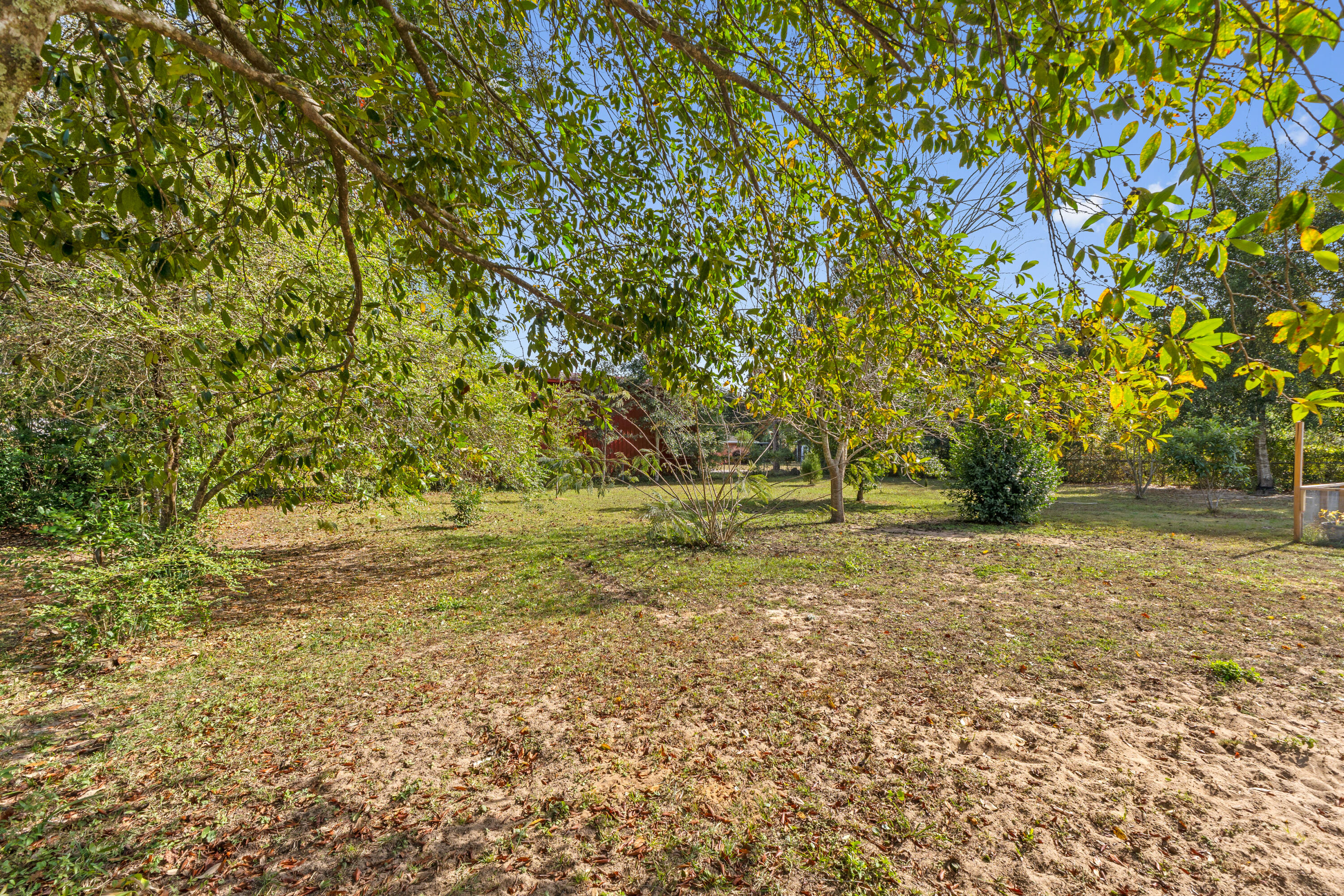 4320 Reinsma Road Milton, FL 32583 - Photo 41 of 41 a view of yard with trees