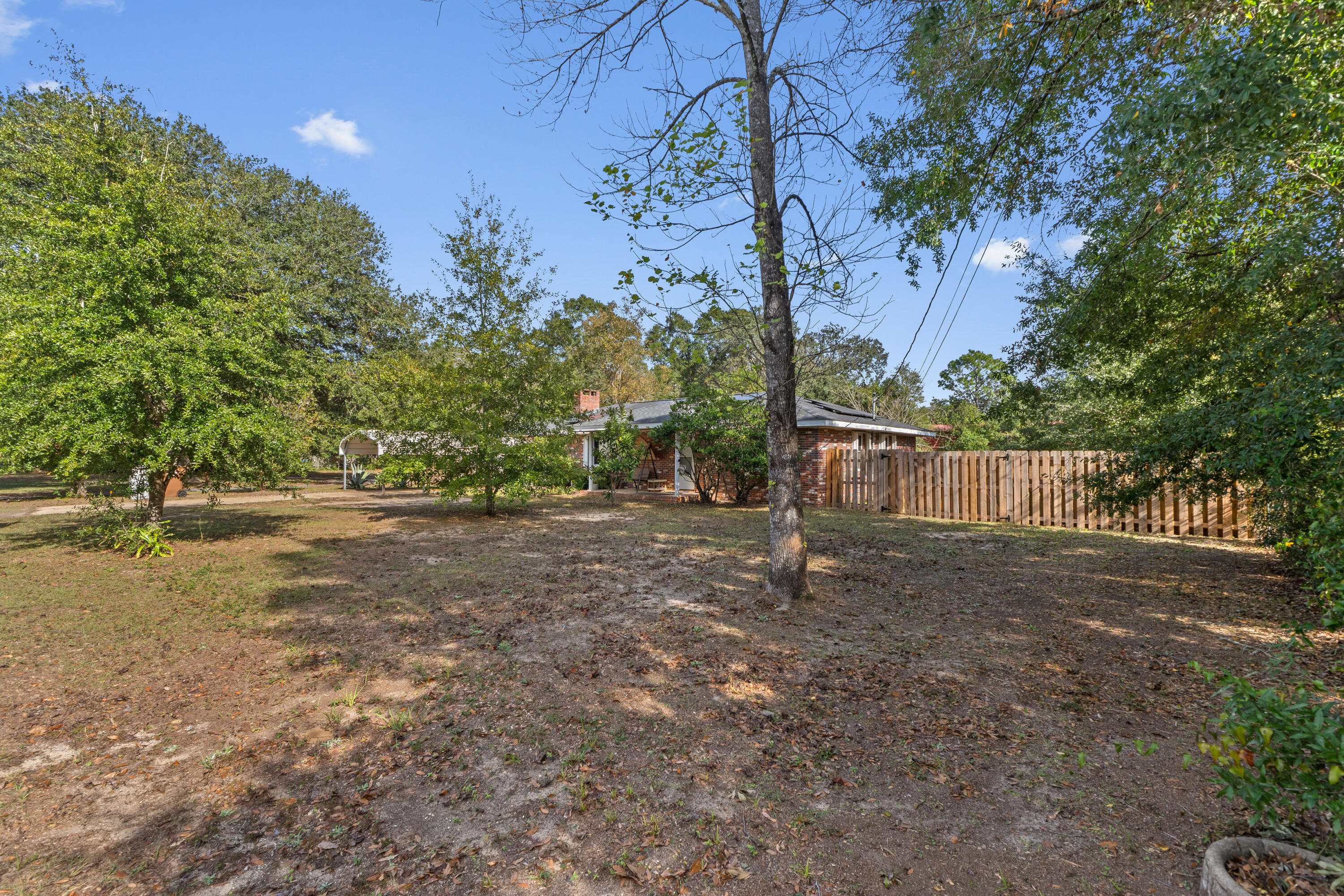 4320 Reinsma Road Milton, FL 32583 - Photo 6 of 41 a view of a yard with a tree