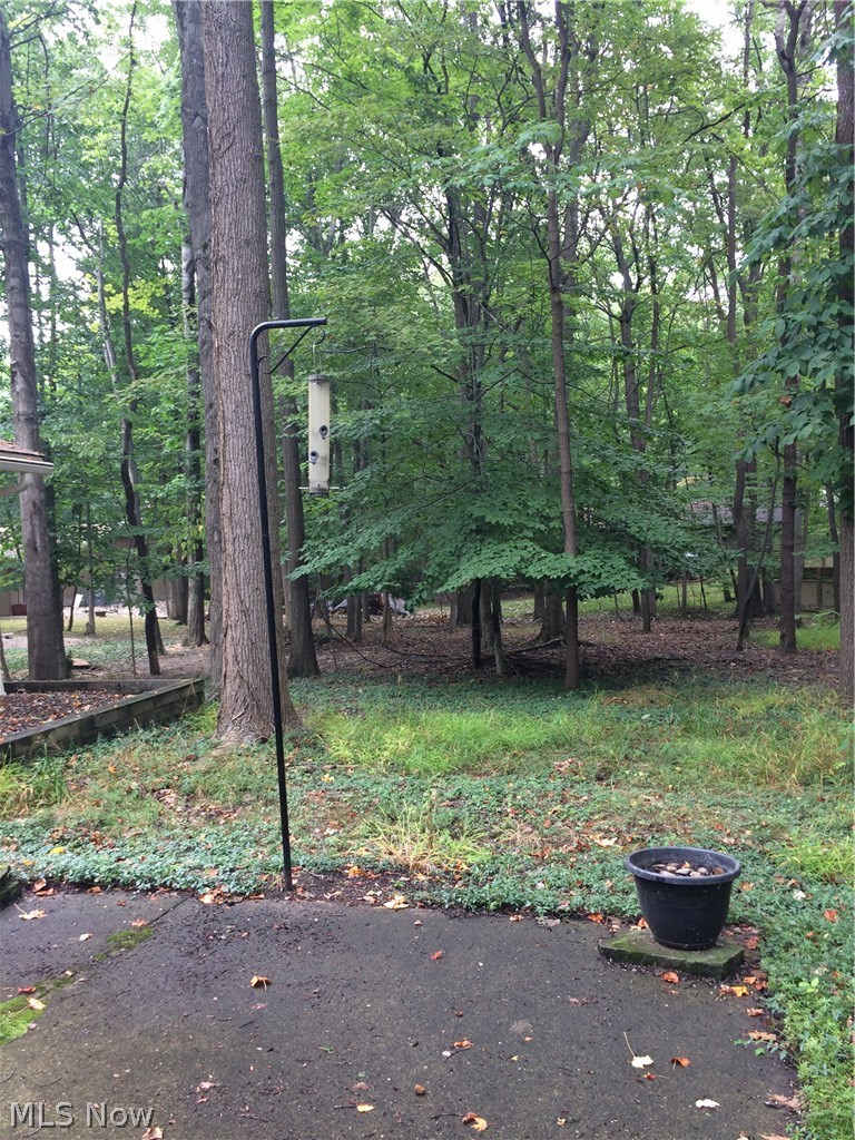 11695 River Moss Road Strongsville, OH 44136 - Photo 3 of 23 Large Wooded Backyard with Patio