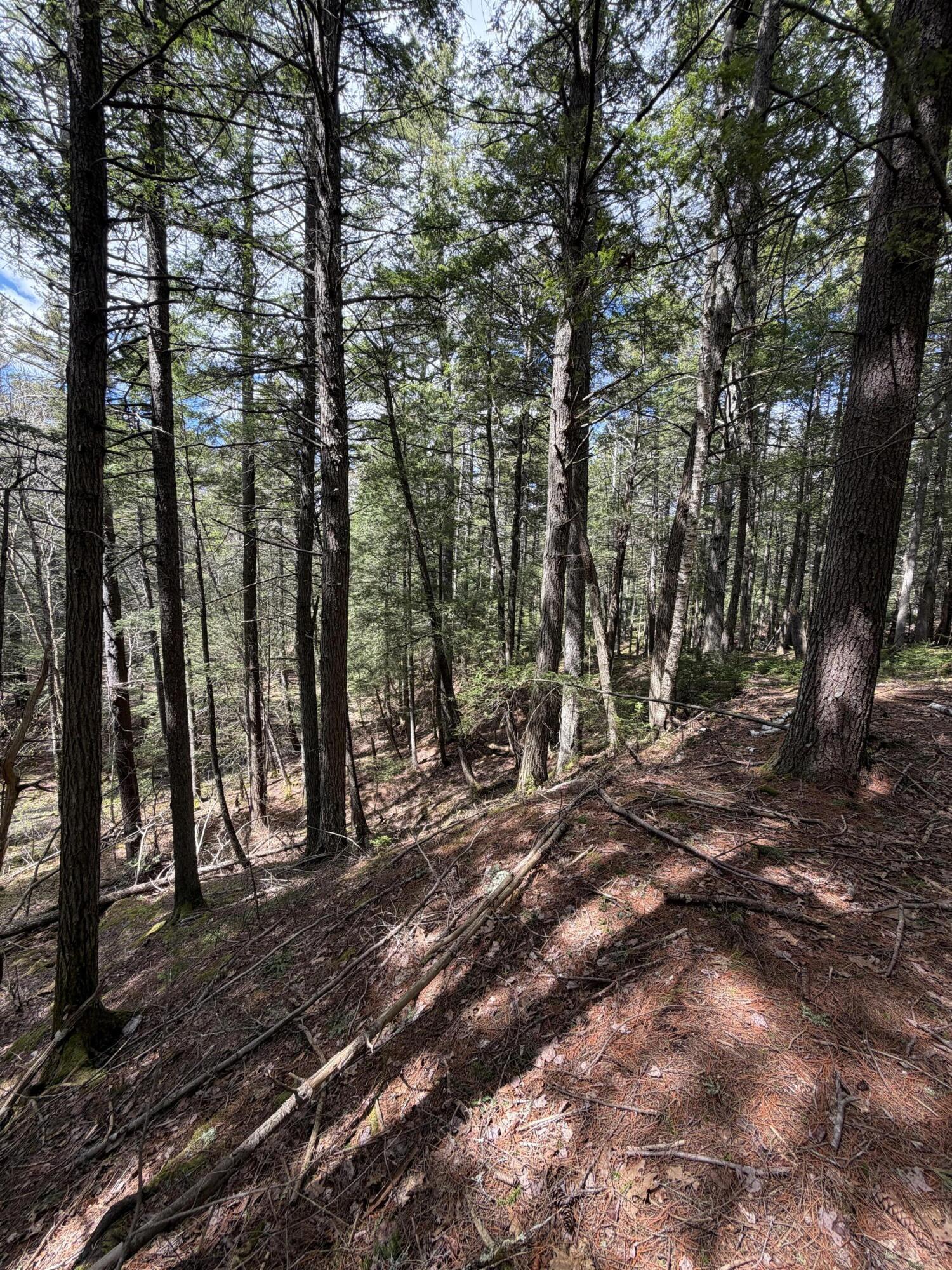 108 B Flying Point Road Freeport, ME 04032 - Photo 9 of 31 Land photo 2
