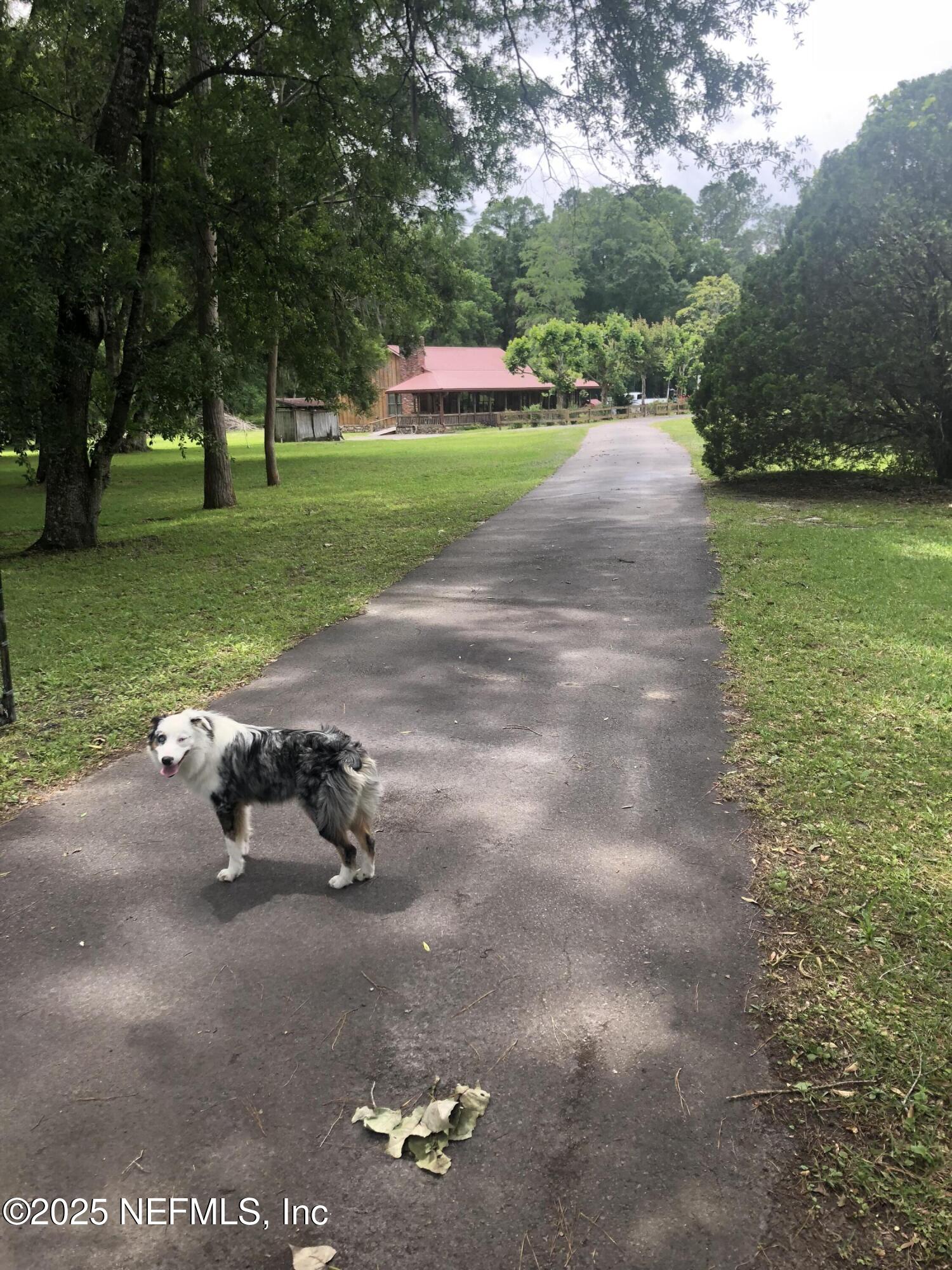 43270 Ratliff Road Callahan, FL 32011 - Photo 15 of 20 Paved driveway