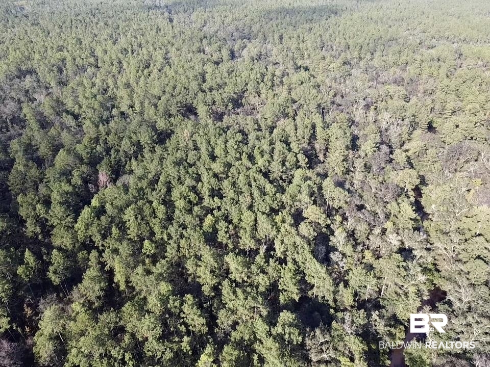 0 Country Road Vinegar Bend, AL 36584 - Photo 14 of 46