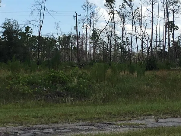 $11,999 | 122 Japonica Avenue, Indian Lake Estates, FL 33843