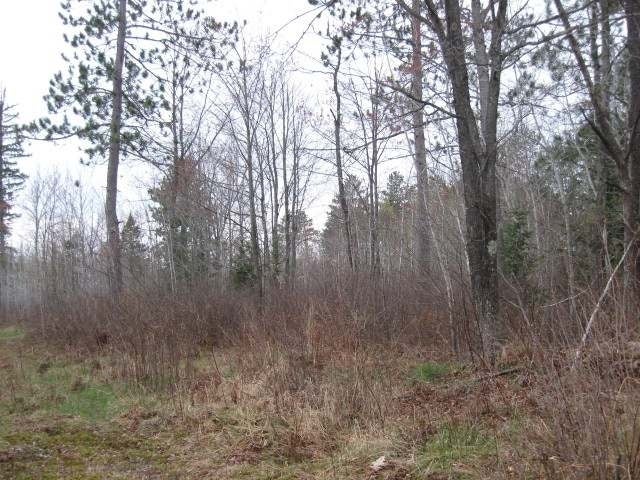 On Rasmusson Road Rhinelander, WI 54501 - Photo 5 of 9 Gallery Image 5