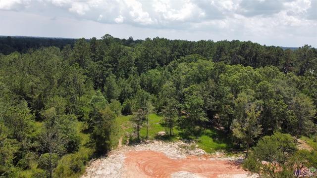 12302 McKee Road Covington, LA 70435 - Photo 9 of 9