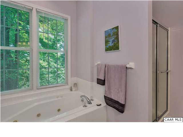 10 North Ridge Way Stanardsville, VA 22973 - Photo 16 of 25 Separate shower, bath tub and toilet area in this nicely sized master bathroom.