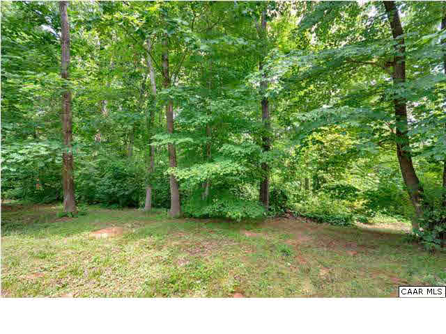 10 North Ridge Way Stanardsville, VA 22973 - Photo 23 of 25 Ahh...enjoy the lush greenery and peacefulness of your yard.