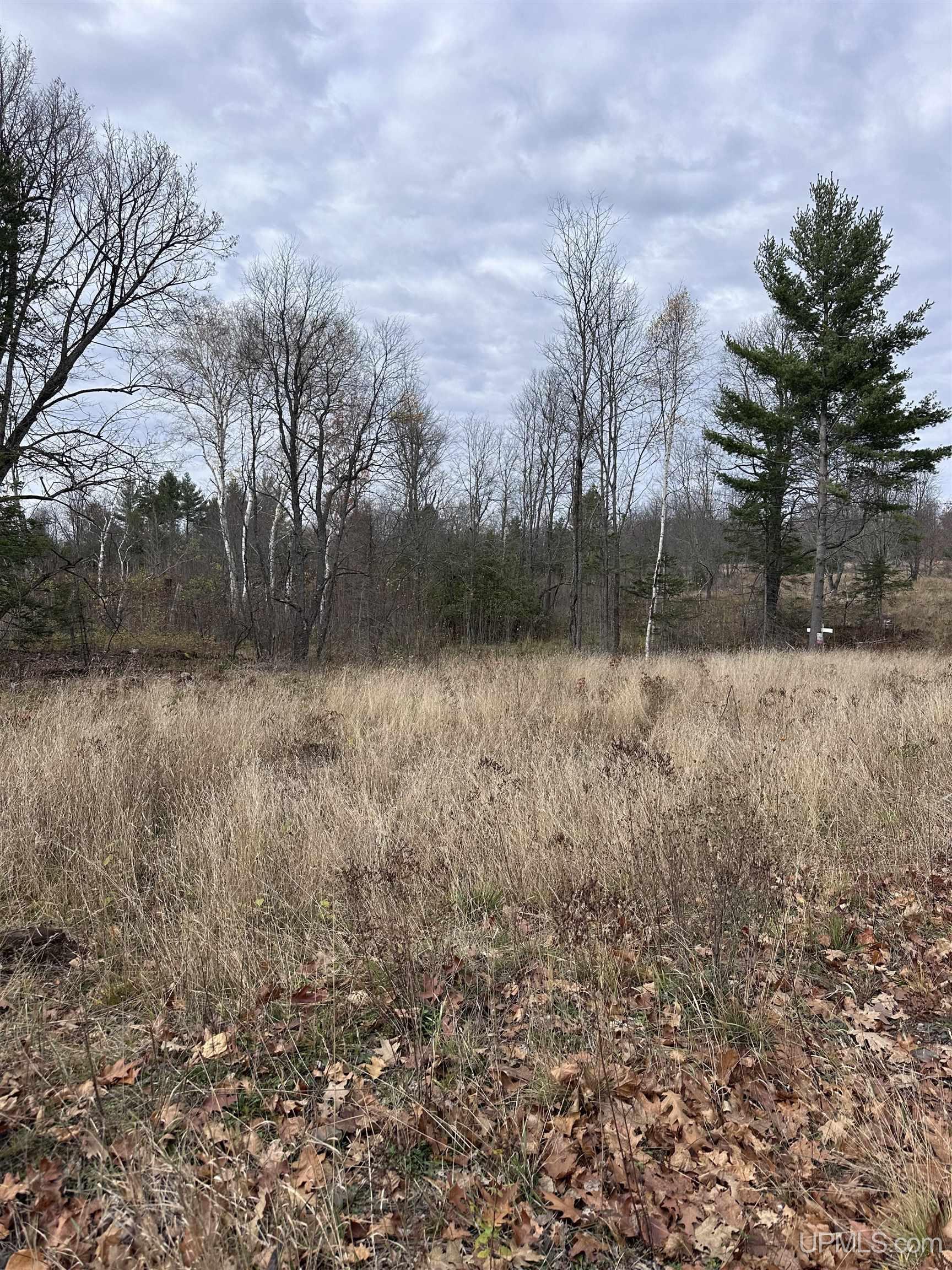 Tbd Co Rd 496 (b) Road, Unit PARCEL B Champion, MI 49814 - Photo 31 of 33