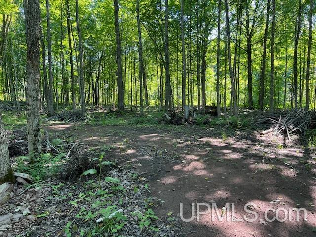 11.6 Acres Off Remington Road Marquette, MI 49855 - Photo 19 of 39
