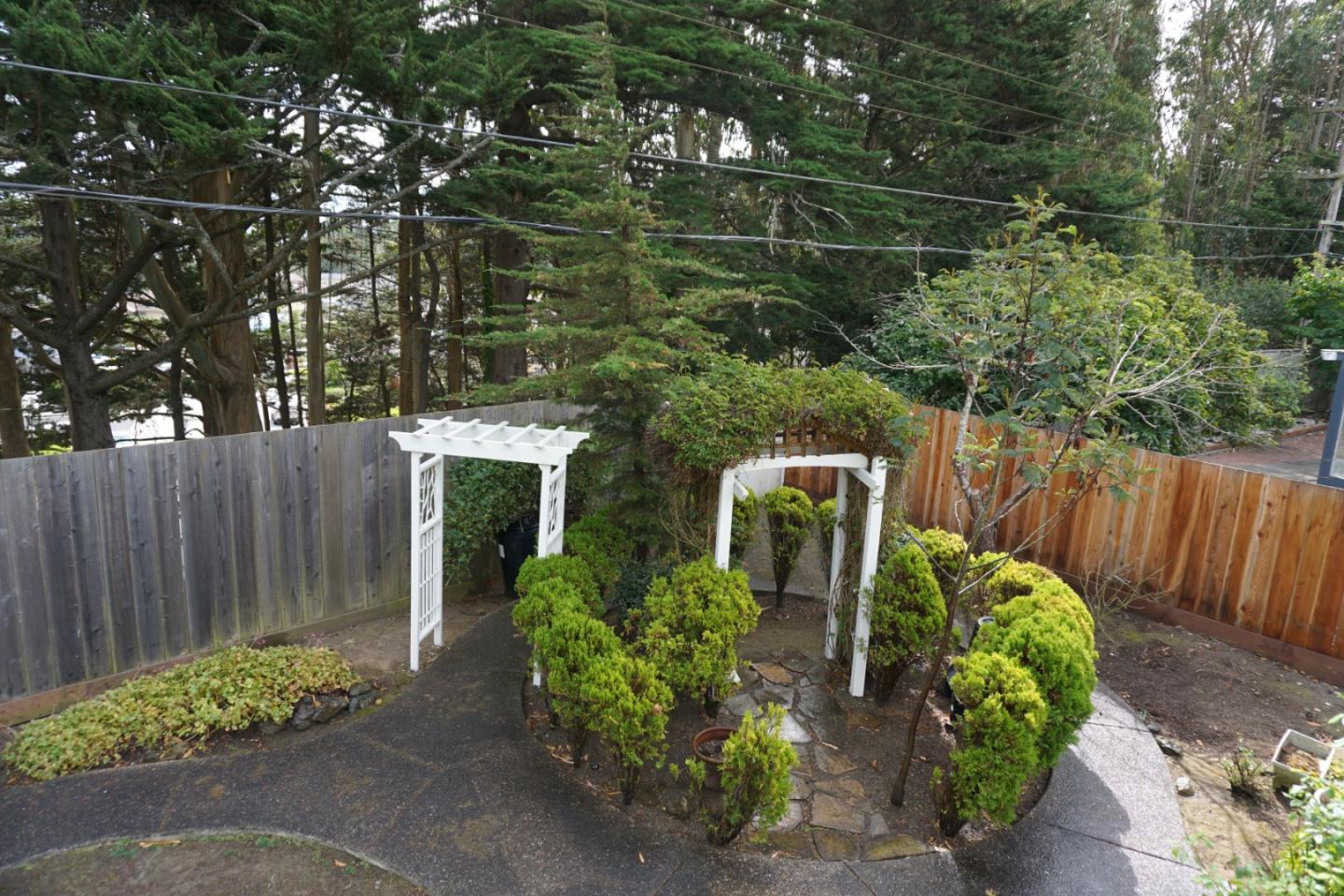 3090 Longview Drive San Bruno, CA 94066 - Photo 16 of 23 a view of a backyard with plants and large trees