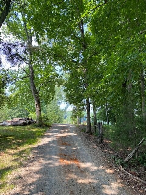337 Hale Boat Dock Road Doyle, TN 38559 - Photo 9 of 12 Gallery Image 9