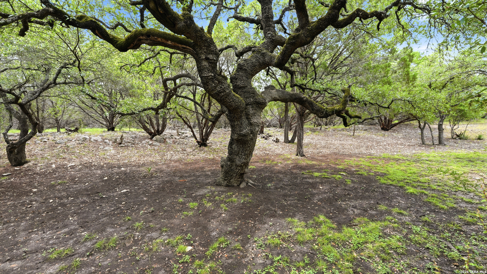 885 Heimer Lange Road Spring Branch, TX 78070 - Photo 49 of 50