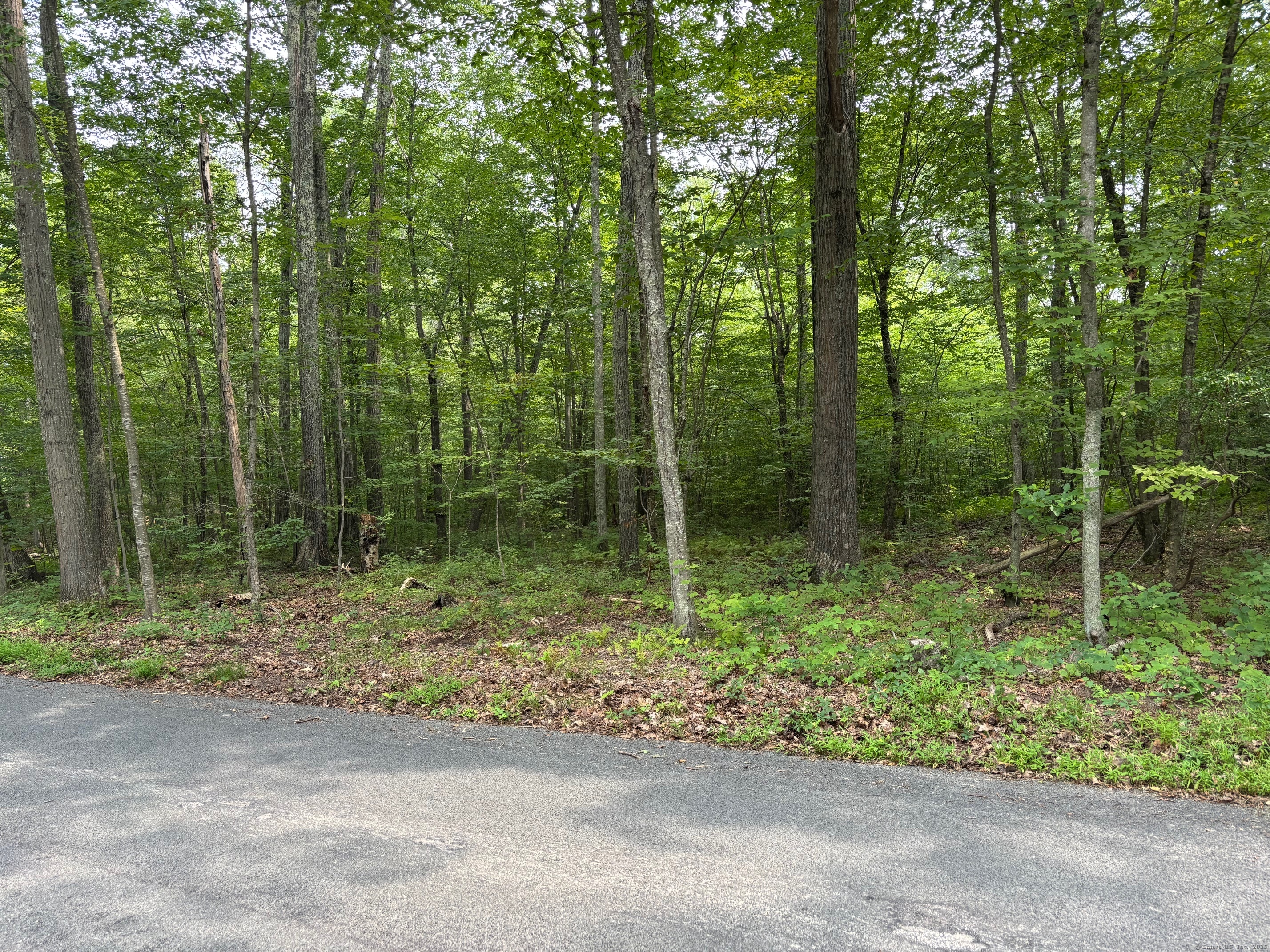 0 Wheeling Road Andover, CT 06232 - Photo 3 of 4