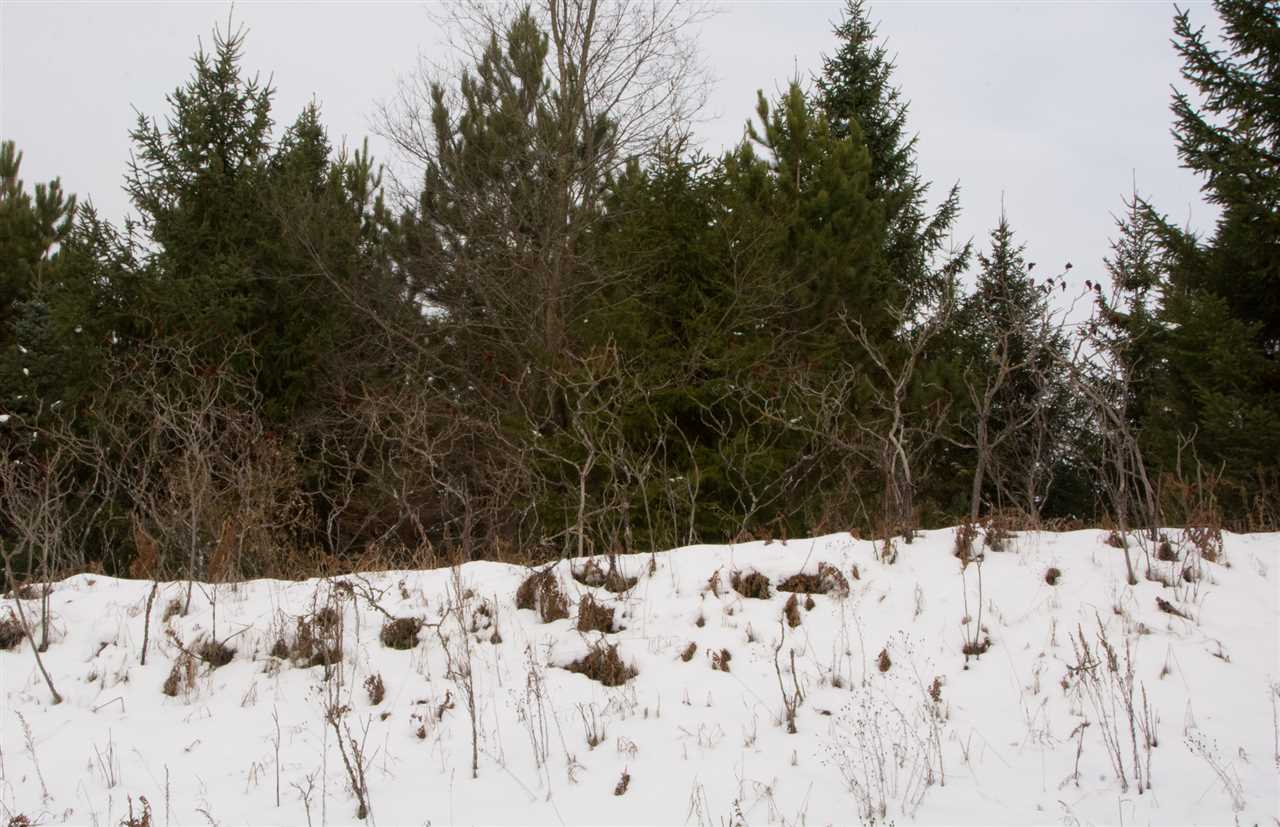 1193 Tyler Road Southeast Kalkaska, MI 49646 - Photo 33 of 35 1869209-35.JPG