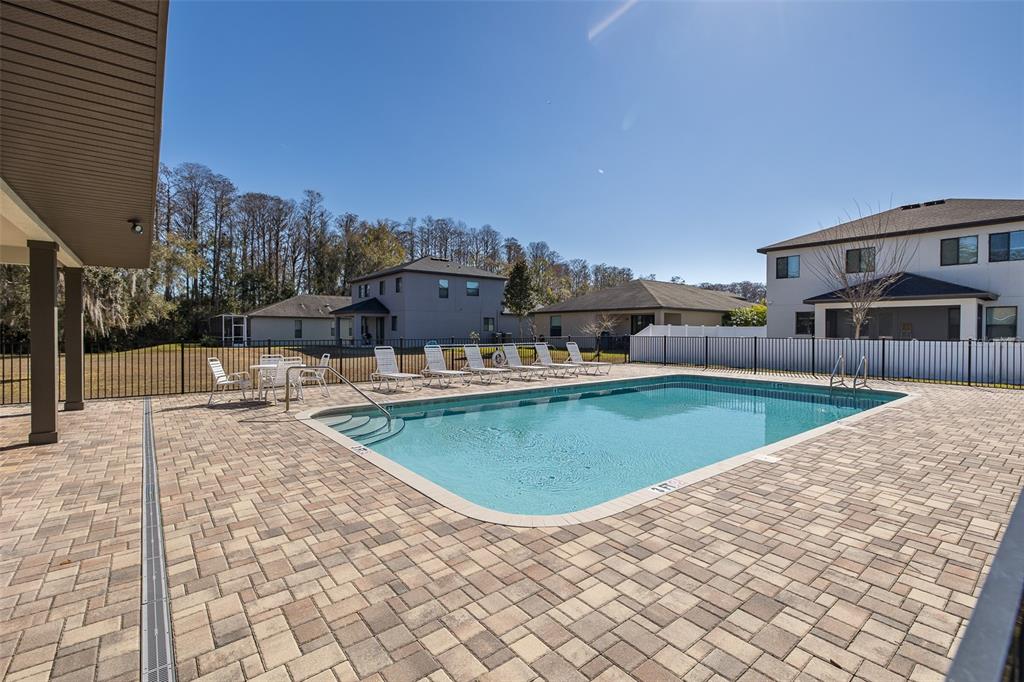 11415 Crowne Pointe Street New Port Richey, FL 34654 - Photo 51 of 51