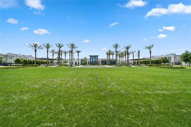 a view of a lake with palm trees