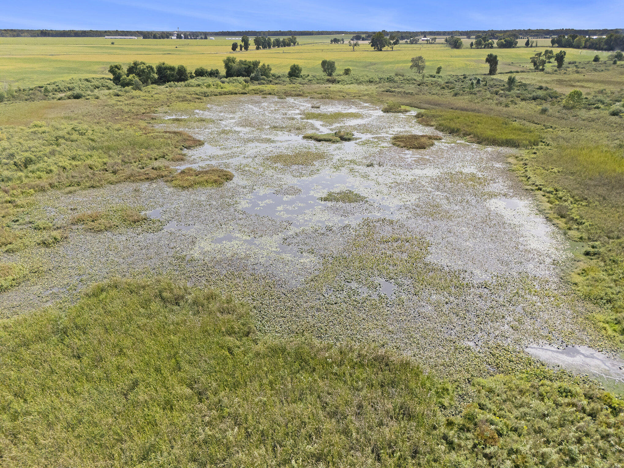 Marl Lake Road Athens, MI 49011 - Photo 17 of 20 017_dji_20250909142613_0041_d_264