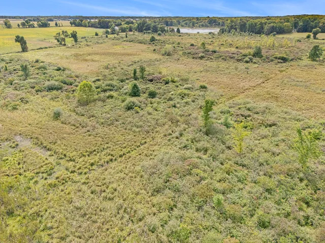 $395,000 | Marl Lake Road, Athens, MI 49011