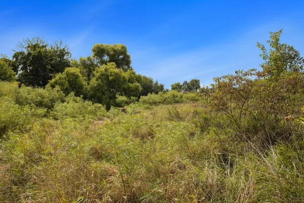 $395,000 | Marl Lake Road, Athens, MI 49011