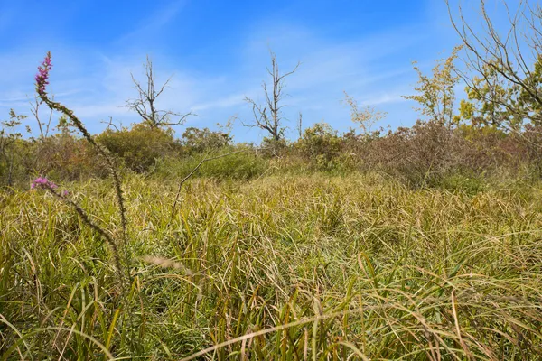 $395,000 | Marl Lake Road, Athens, MI 49011