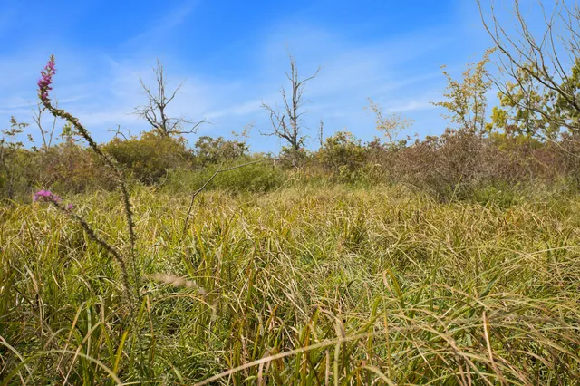 $395,000 | Marl Lake Road, Athens, MI 49011