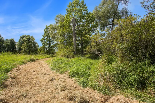 $395,000 | Marl Lake Road, Athens, MI 49011