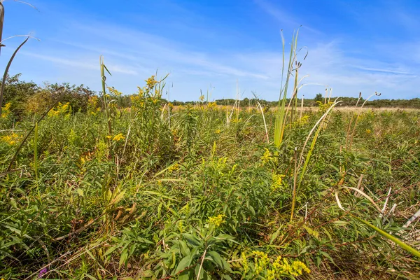 $395,000 | Marl Lake Road, Athens, MI 49011