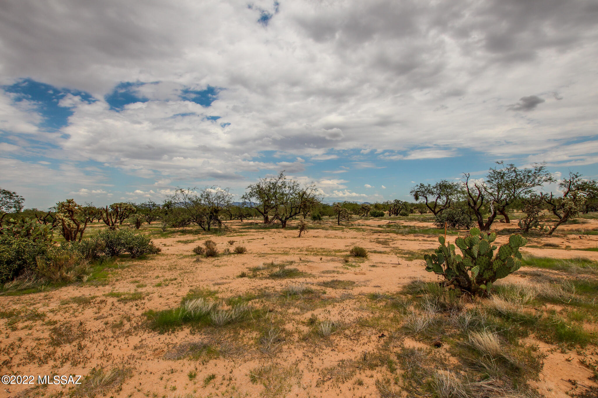 13220 Cortel Road, Unit W Tucson, AZ 85736 - Photo 13 of 50 Gallery Image 13